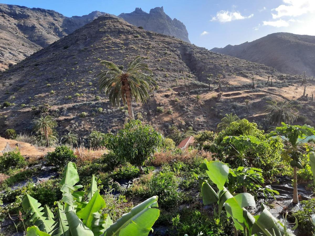 Casa Rural La Vega Alojera Kültér fotó