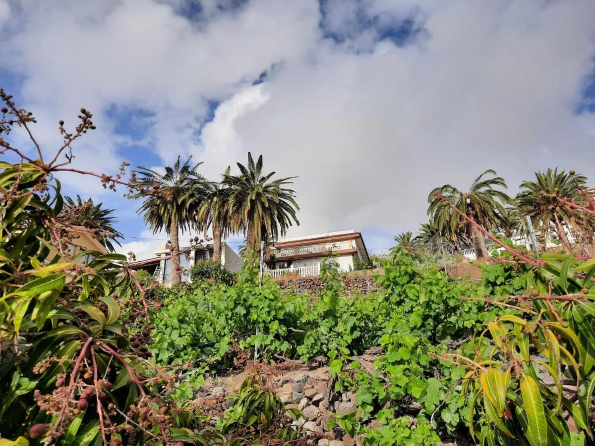 Casa Rural La Vega Alojera Kültér fotó