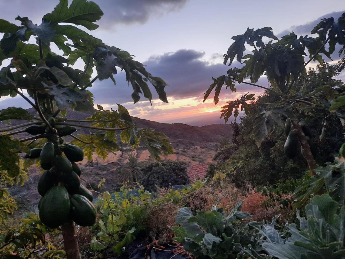 Casa Rural La Vega Alojera Kültér fotó