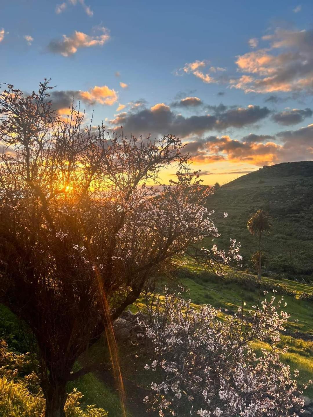 Casa Rural La Vega Alojera Kültér fotó